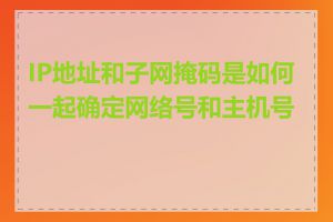 IP地址和子网掩码是如何一起确定网络号和主机号的