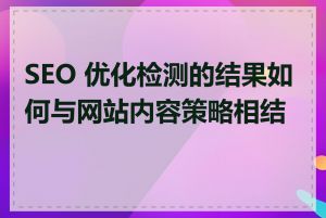 SEO 优化检测的结果如何与网站内容策略相结合