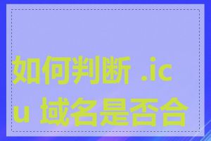 如何判断 .icu 域名是否合法