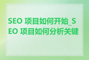 SEO 项目如何开始_SEO 项目如何分析关键词