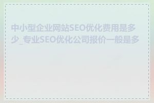 中小型企业网站SEO优化费用是多少_专业SEO优化公司报价一般是多少