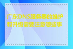 广东DNS服务器的维护和升级需要注意哪些事项