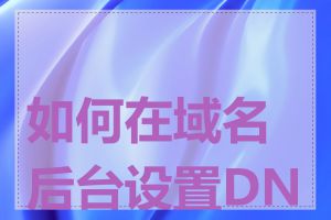 如何在域名后台设置DNS