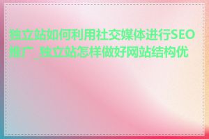独立站如何利用社交媒体进行SEO推广_独立站怎样做好网站结构优化