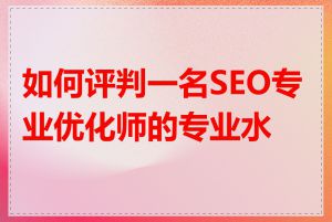 如何评判一名SEO专业优化师的专业水平