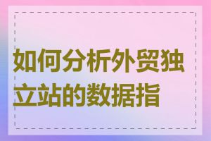 如何分析外贸独立站的数据指标