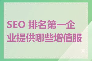 SEO 排名第一企业提供哪些增值服务