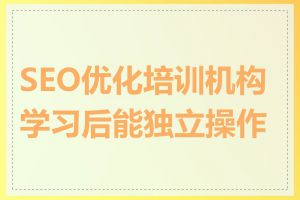 SEO优化培训机构学习后能独立操作吗