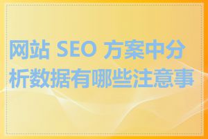 网站 SEO 方案中分析数据有哪些注意事项
