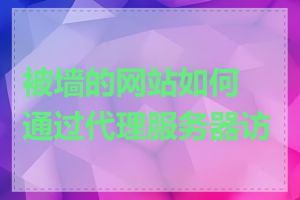 被墙的网站如何通过代理服务器访问