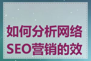 如何分析网络SEO营销的效果