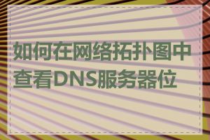 如何在网络拓扑图中查看DNS服务器位置