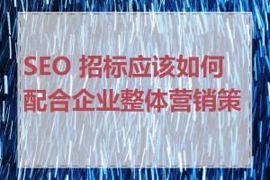 SEO 招标应该如何配合企业整体营销策略
