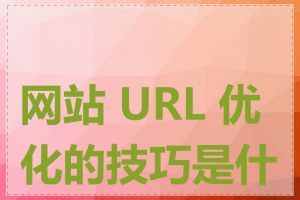 网站 URL 优化的技巧是什么