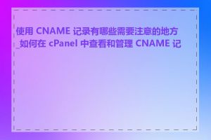 使用 CNAME 记录有哪些需要注意的地方_如何在 cPanel 中查看和管理 CNAME 记录