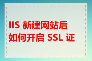 IIS 新建网站后如何开启 SSL 证书