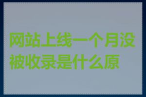网站上线一个月没被收录是什么原因