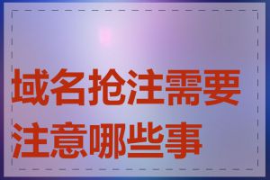 域名抢注需要注意哪些事项