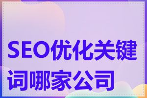 SEO优化关键词哪家公司好