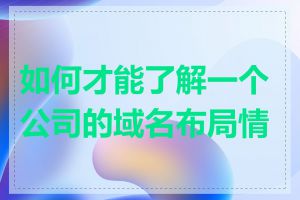 如何才能了解一个公司的域名布局情况