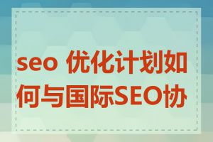 seo 优化计划如何与国际SEO协同