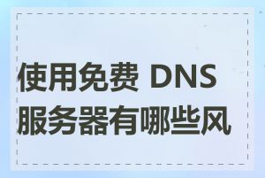 使用免费 DNS 服务器有哪些风险