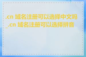 .cn 域名注册可以选择中文吗_.cn 域名注册可以选择拼音吗