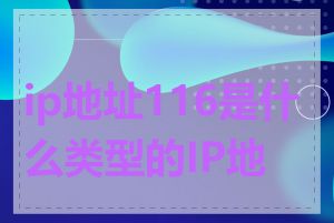 ip地址116是什么类型的IP地址
