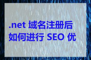 .net 域名注册后如何进行 SEO 优化