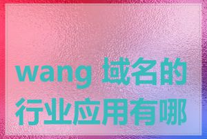 wang 域名的行业应用有哪些