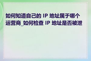 如何知道自己的 IP 地址属于哪个运营商_如何检查 IP 地址是否被泄露