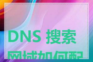 DNS 搜索网域如何配置