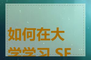 如何在大学学习 SEO