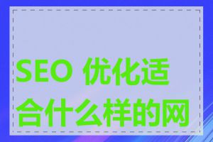 SEO 优化适合什么样的网站