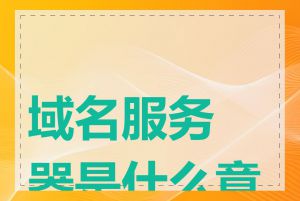 域名服务器是什么意思