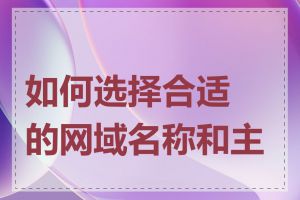 如何选择合适的网域名称和主机