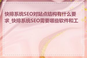 快排系统SEO对站点结构有什么要求_快排系统SEO需要哪些软件和工具