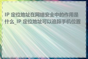 IP 定位地址在网络安全中的作用是什么_IP 定位地址可以追踪手机位置吗