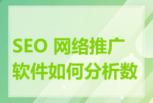 SEO 网络推广软件如何分析数据
