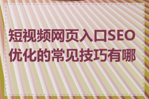短视频网页入口SEO优化的常见技巧有哪些