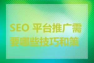 SEO 平台推广需要哪些技巧和策略