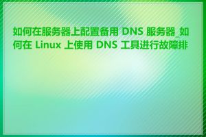如何在服务器上配置备用 DNS 服务器_如何在 Linux 上使用 DNS 工具进行故障排查
