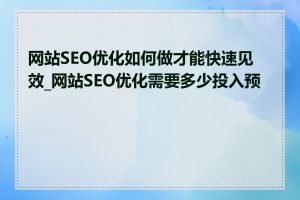 网站SEO优化如何做才能快速见效_网站SEO优化需要多少投入预算