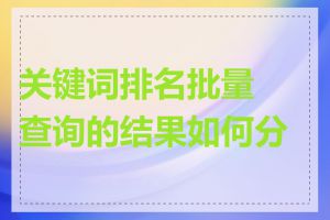关键词排名批量查询的结果如何分析