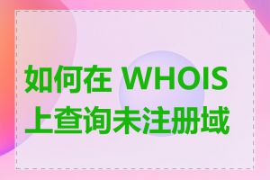 如何在 WHOIS 上查询未注册域名