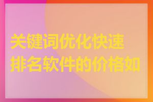 关键词优化快速排名软件的价格如何