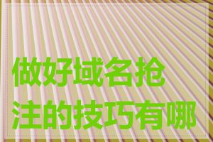 做好域名抢注的技巧有哪些