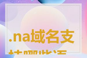 .na域名支持哪些语言