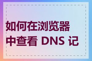 如何在浏览器中查看 DNS 记录