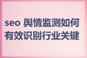 seo 舆情监测如何有效识别行业关键词